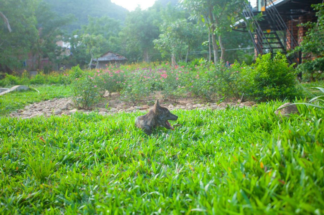 Phong Nha Bolero Bungalow Aparthotel Room photo